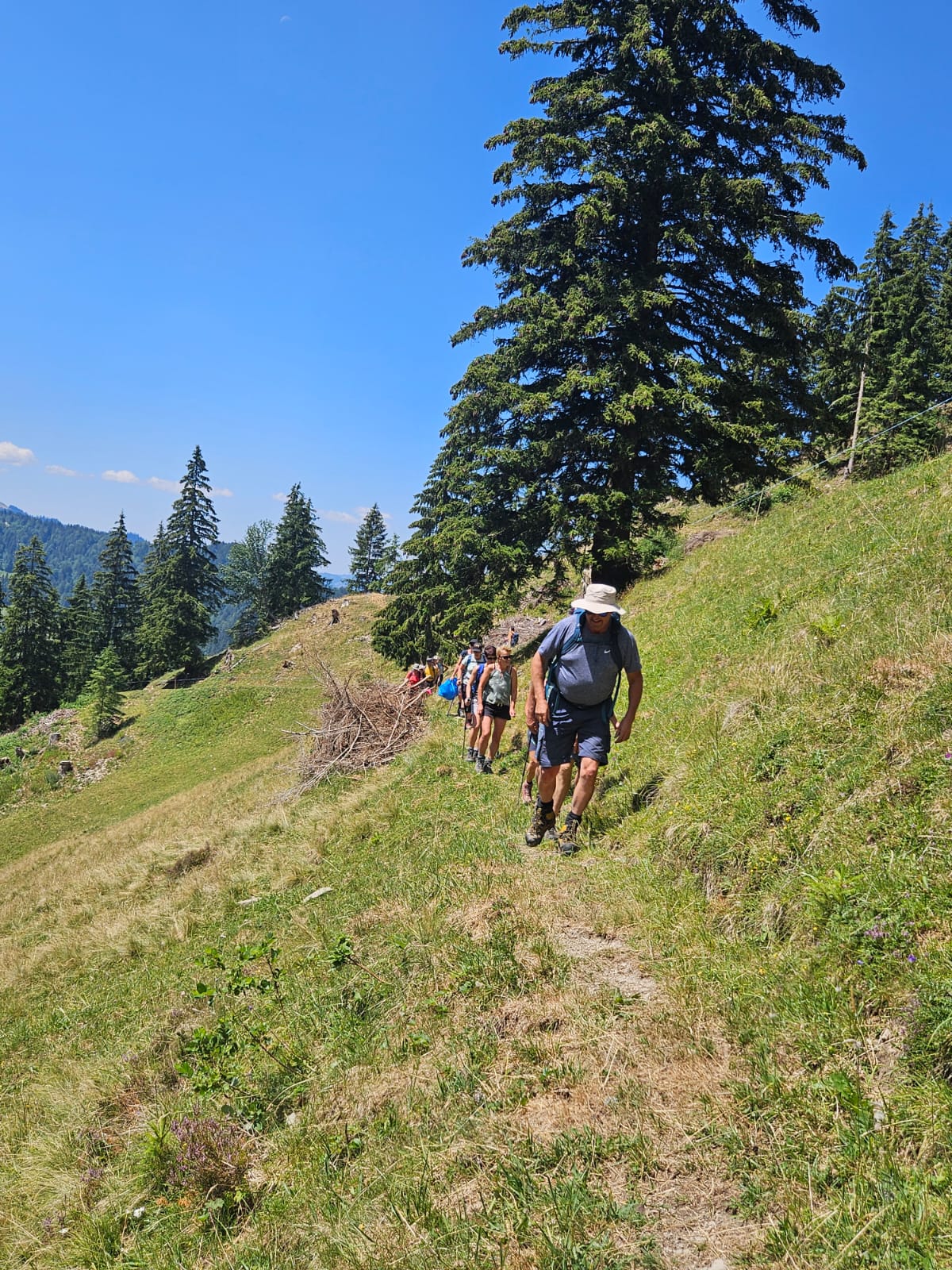 IMG-20260709-WA0018