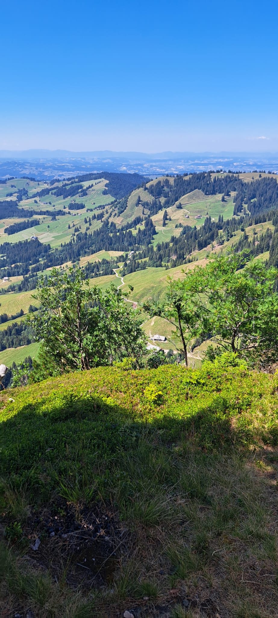 IMG-20260710-WA0005