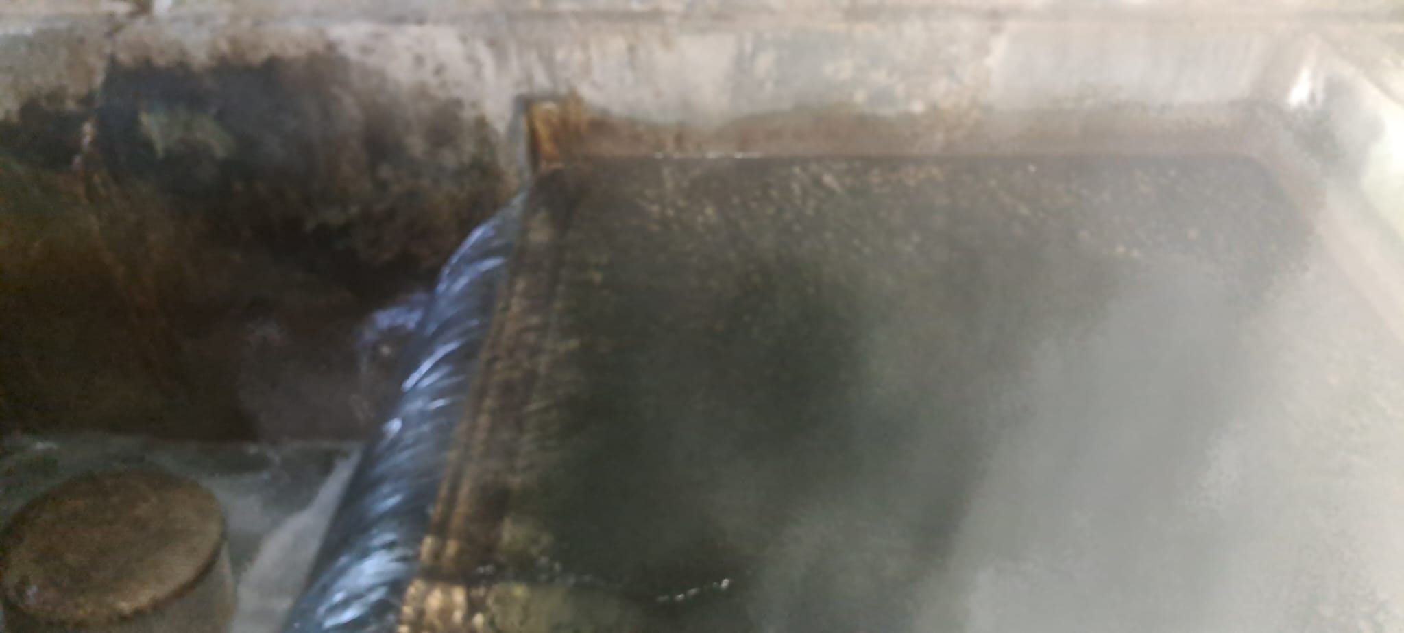 IMG-20260710-WA0008